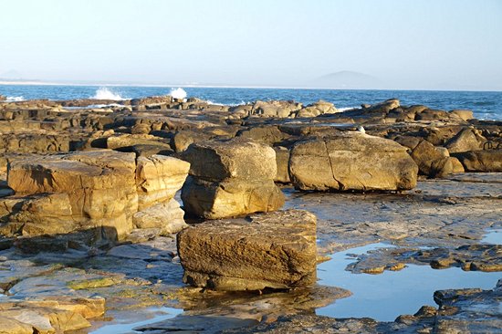Sunshine Coast
