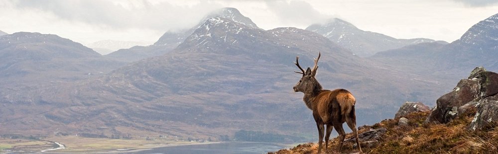 Torridon