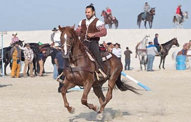 Spectacle de chevaux