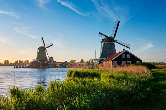 Zaandam
