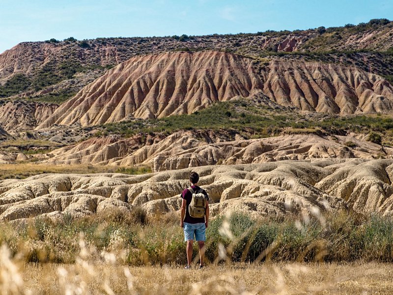 Bárdenas Reales