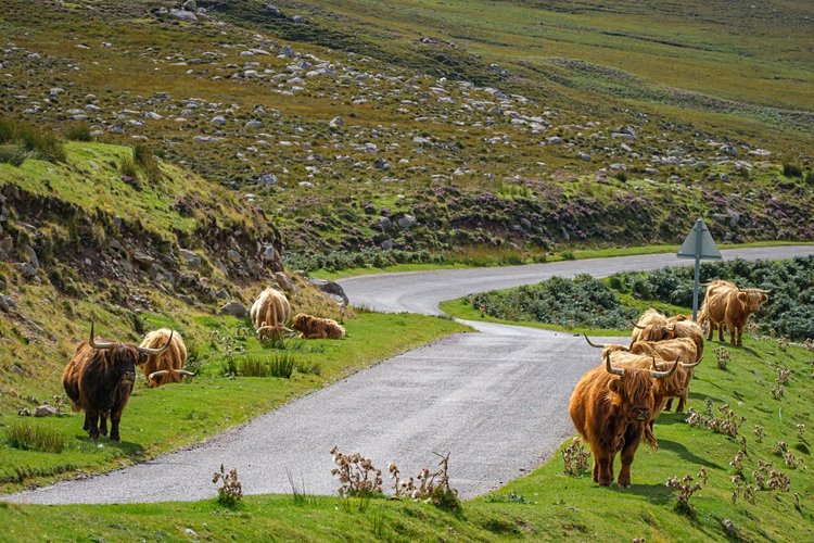 North Coast 500 - Écosse 2