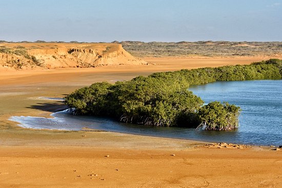 Punta Gallinas
