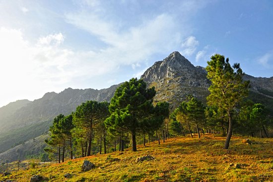 Parc naturel de la Sierra de Grazalema