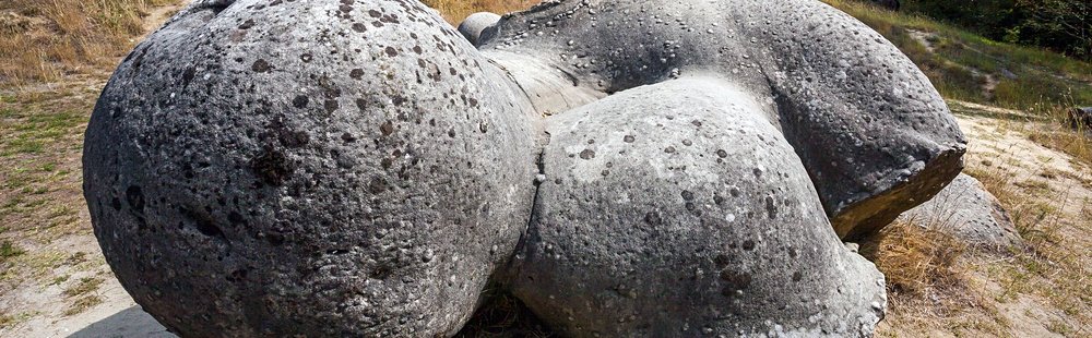 Les trovants ou « pierres vivantes » de Costesti