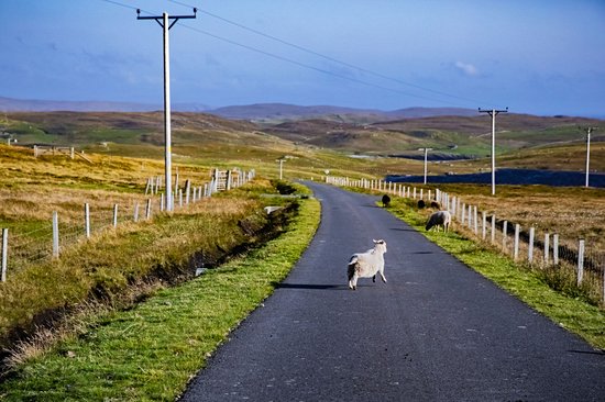 L’archipel des Shetland