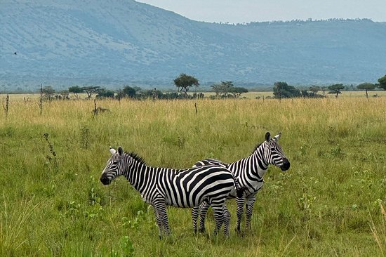 Le parc national de Ruma