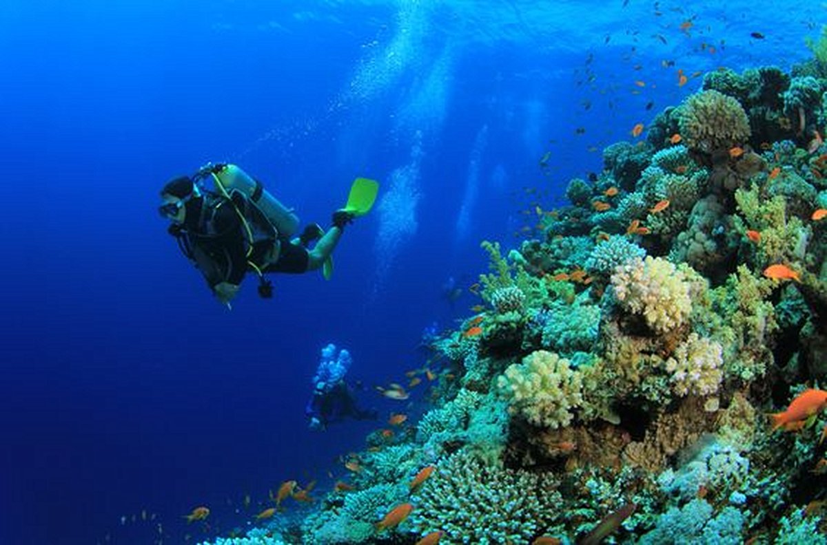 Explorer les fonds marins des Philippines en pratiquant la plongée