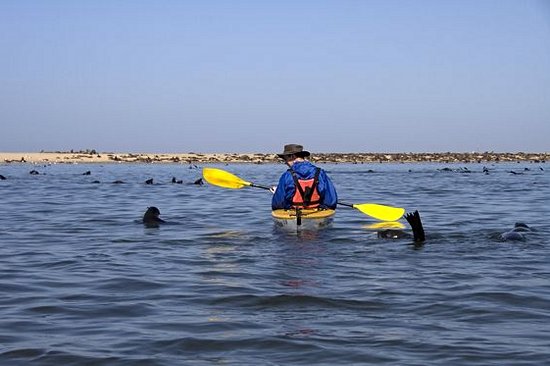 Faire du kayak de mer à Walvis Bay