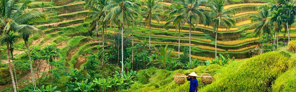 Bali