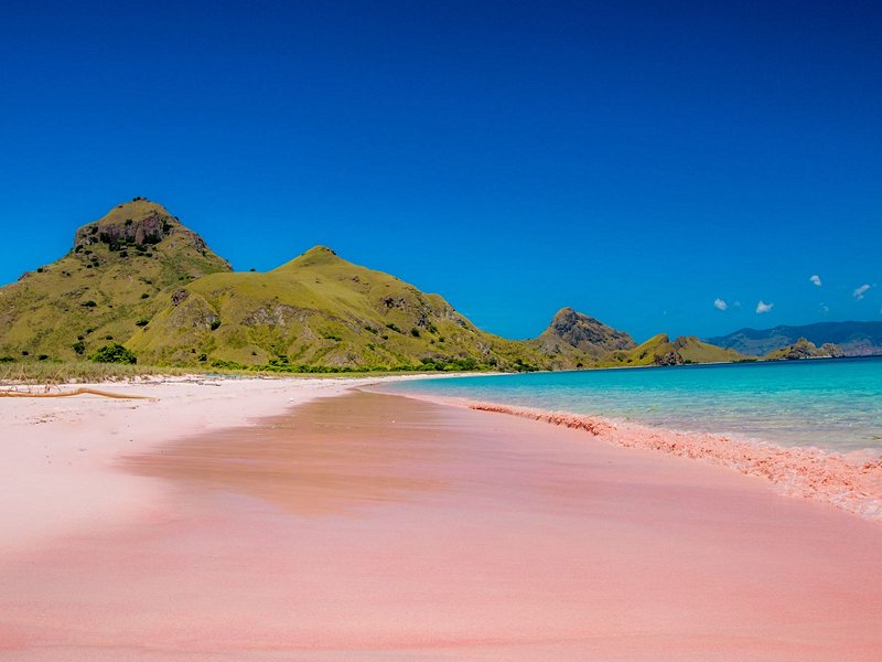 Le parc national Komodo