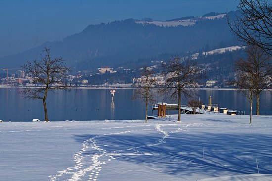 Lac de Constance
