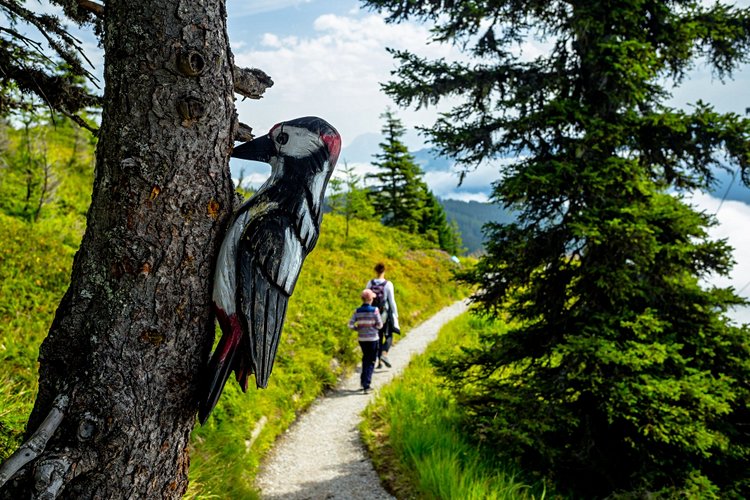 Le Parc National des Hohe Tauern 3