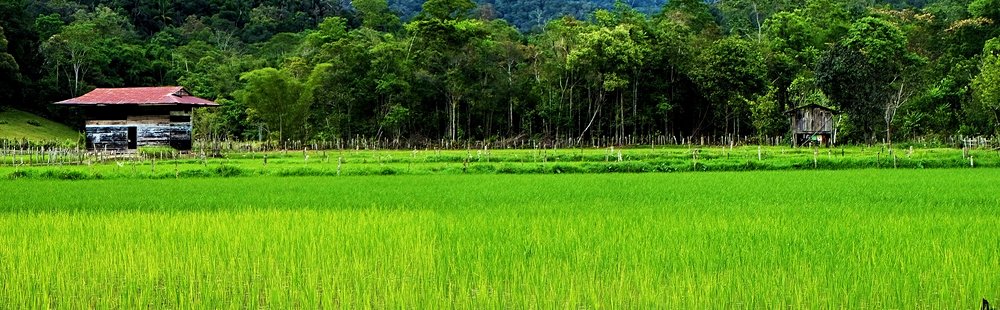 Les Kelabit Highlands