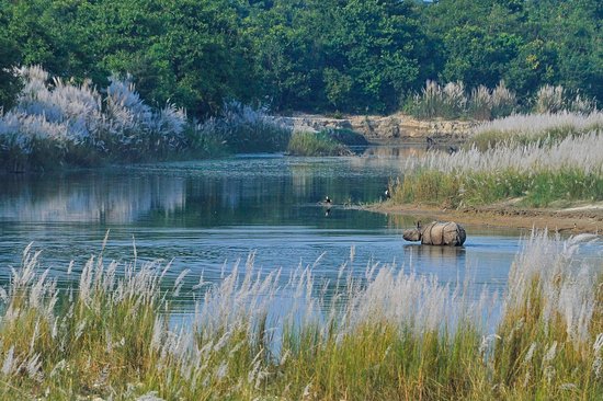 Parc national de Bardia