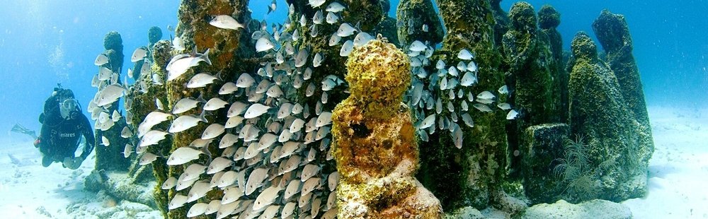 Le musée subaquatique MUSA