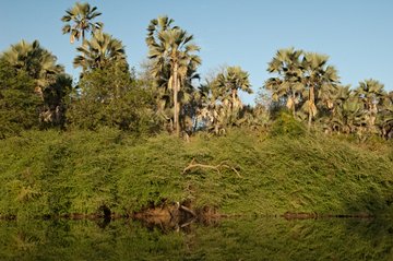 Tambacounda