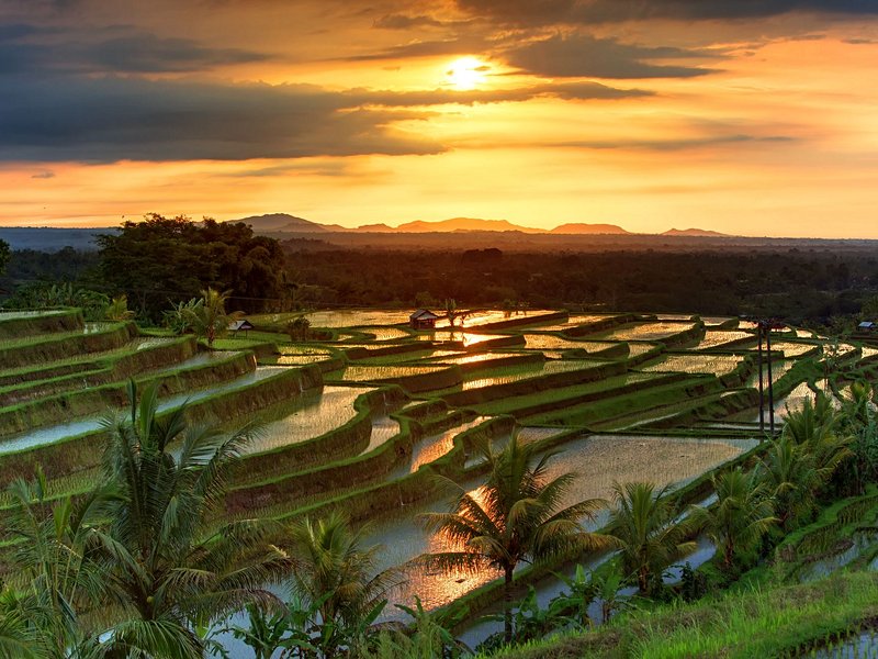 Jatiluwih (Bali)