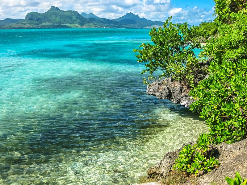 Île aux Aigrettes