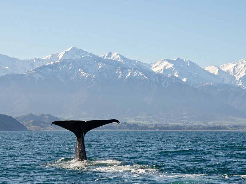 Kaikoura