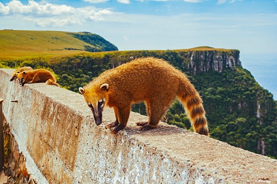 Serra do Rio do Rastro
