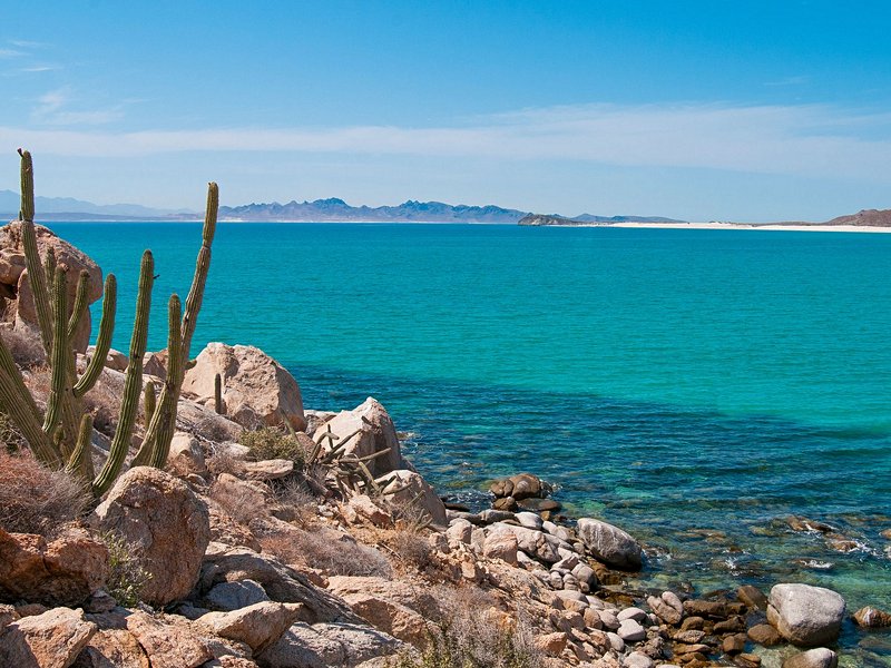 Visiter l’île Espíritu Santo