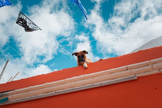 Le quartier de Jalatlaco