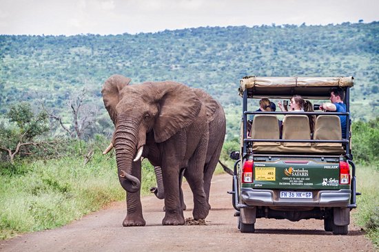 Parc national Kruger