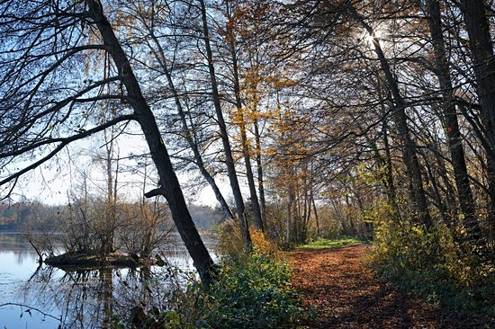 Parc Naturel régional du Gâtinais