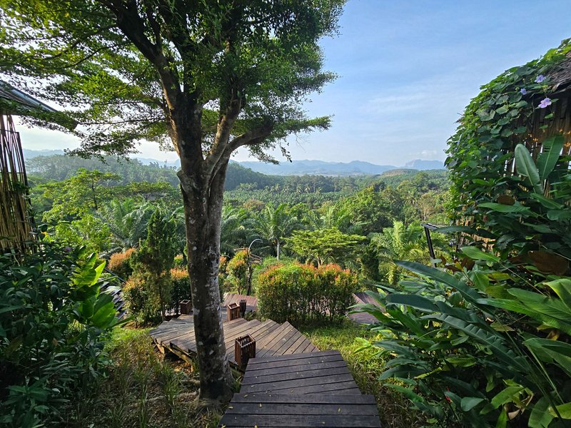 Partir en randonnée dans la forêt du parc
