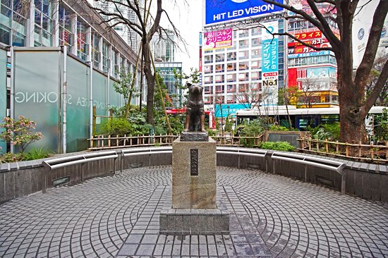 Shibuya et la statue de Hachiko