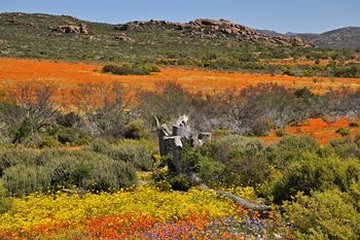 Parc national Namaqua