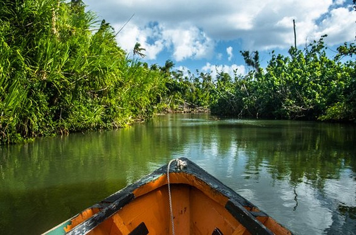 Parcourir en bateau l'Indian river