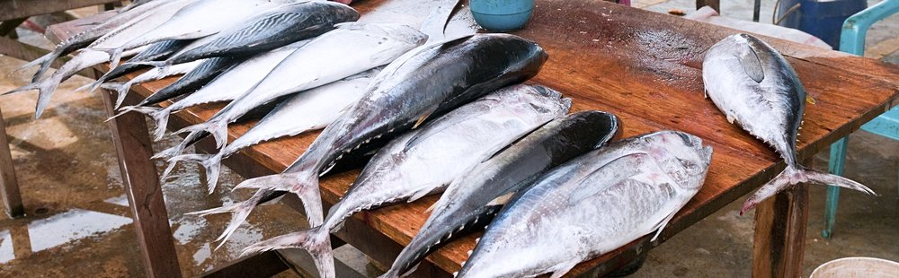 Marché aux poissons