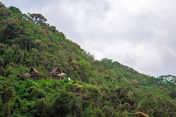 Amazonie bolivienne