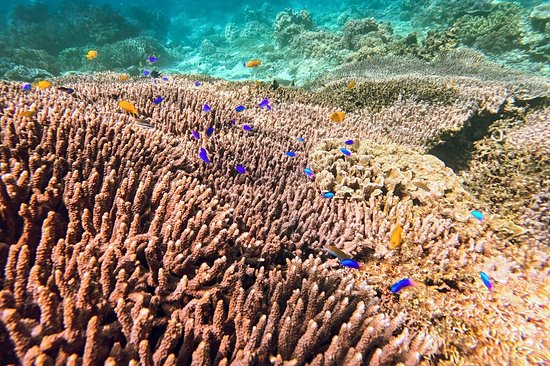 Tubod Marine Sanctuary