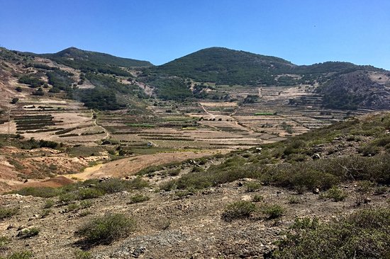 Parc Rural del Teno