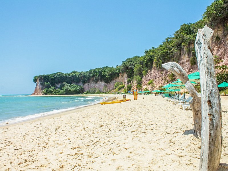 Praia dos Golfinhos