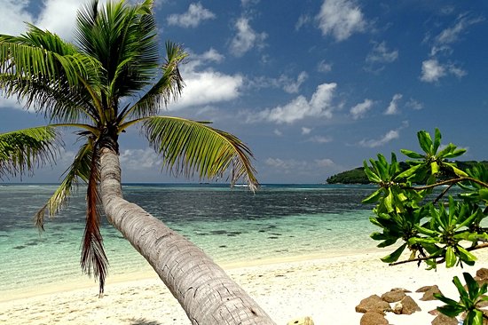 Anse La Farine