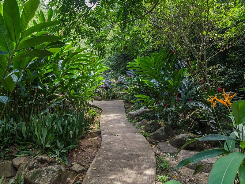 Jardin du Roi