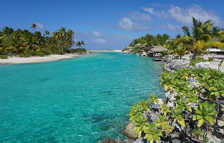 Îles Tuamotu
