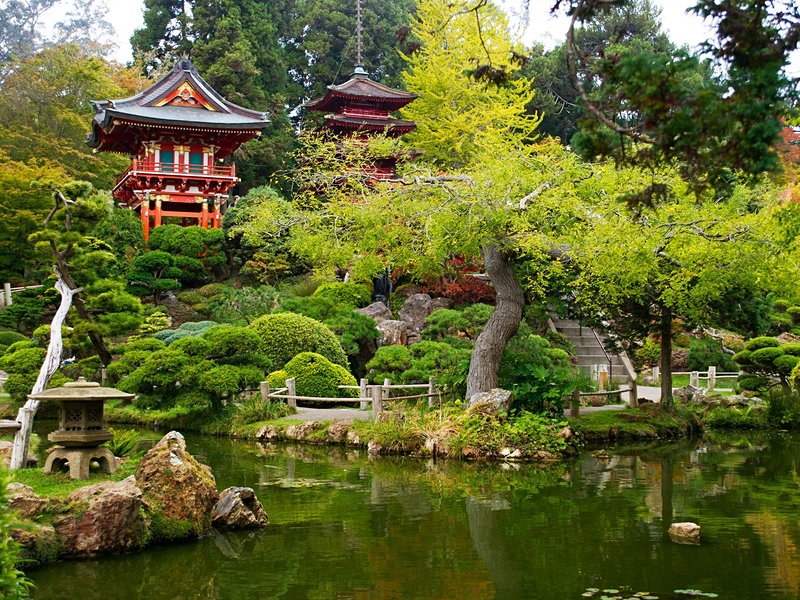 Le Golden Gate Park