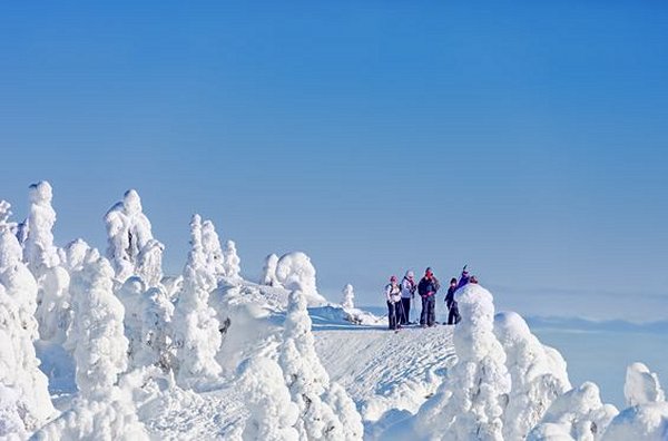 Skier et randonner dans le parc national de Koli