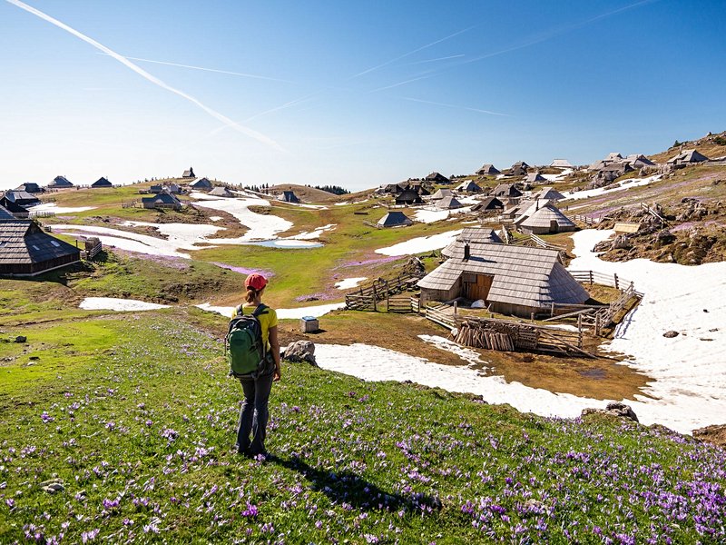 Velika Planina