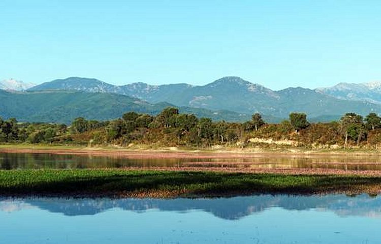 Corse Orientale