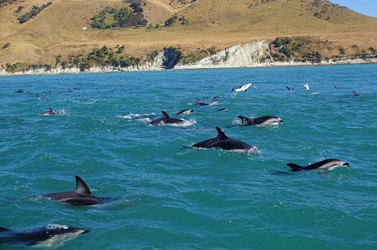 Kaikoura