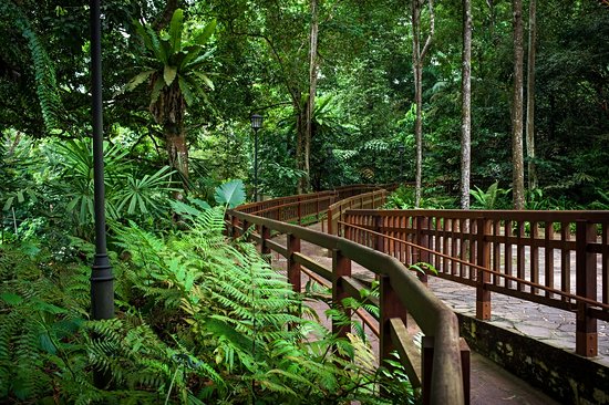 Réserve naturelle de Bukit Timah