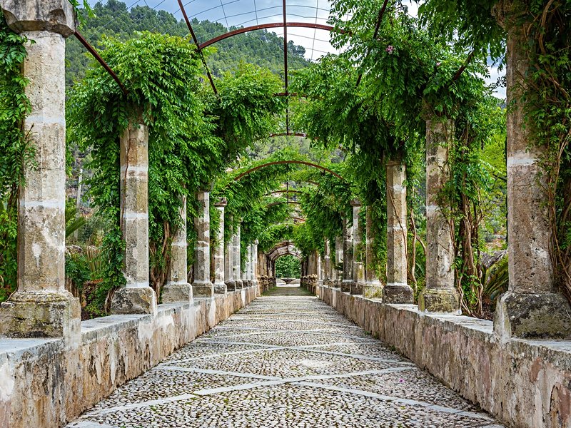 Les jardins d’Alfabia