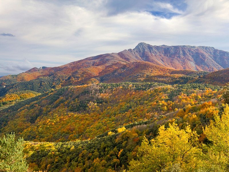 Le parc naturel de Montseny