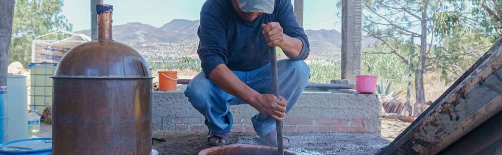 Visiter une palenque